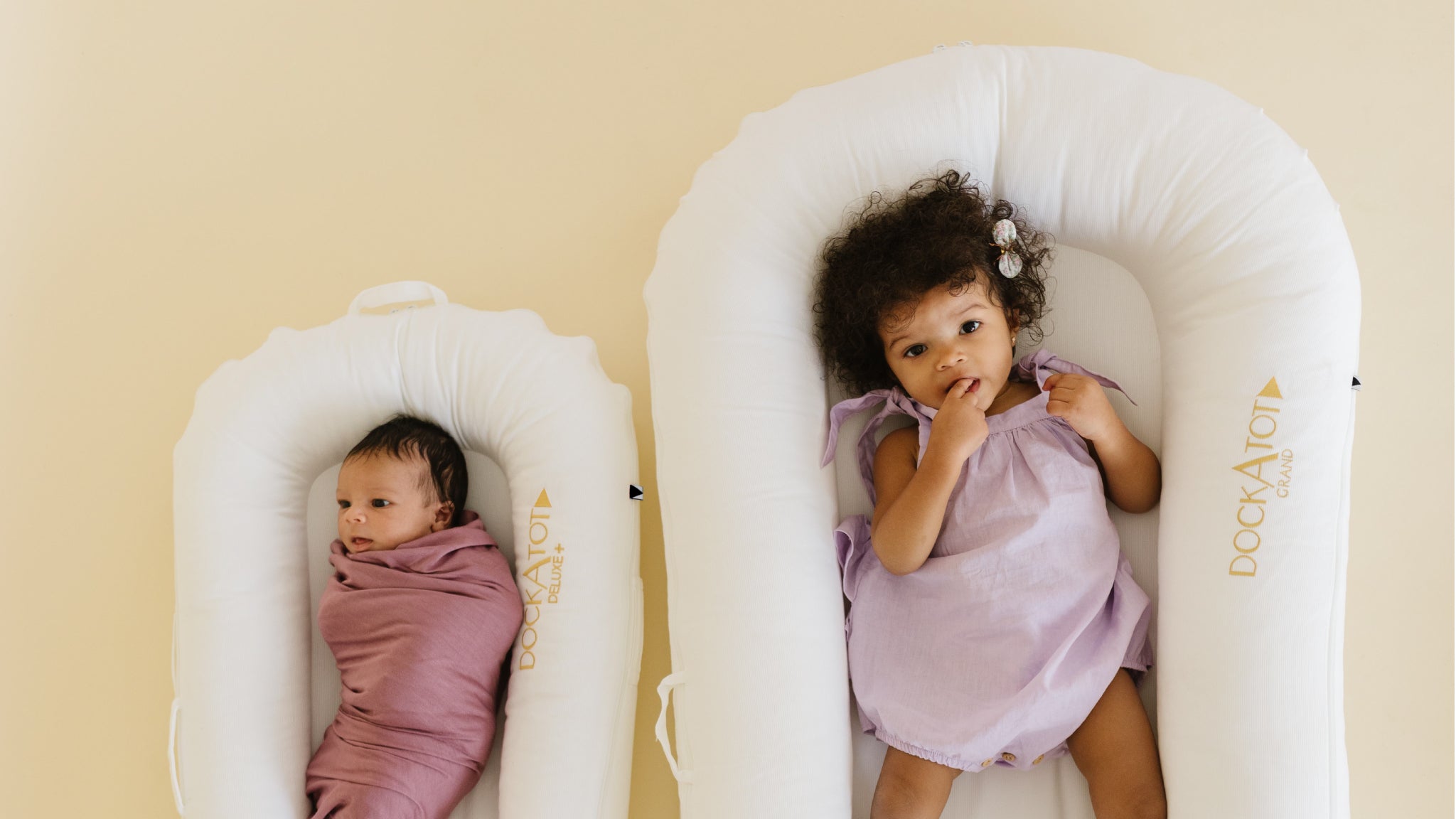 NEW!　リニューアル★1円スタート　新着★淡藤色　ペラッカエダンゴムシ Armadillidium peraccae　幼体15頭　