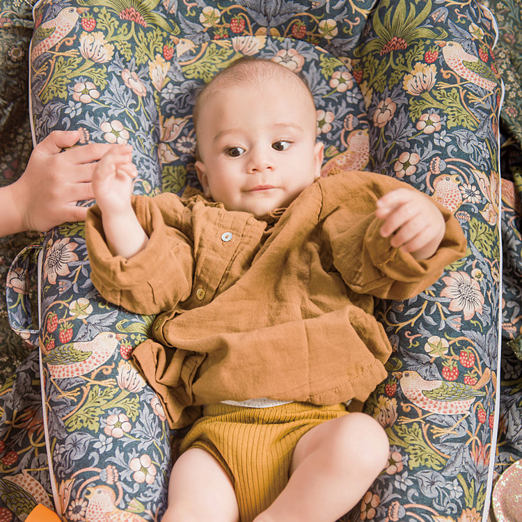 Deluxe+ Dock - ストロベリースィーフ